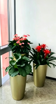杭州湾花卉租赁价格-江北办公室植物租赁店-杭州湾绿化养护市场发展-北仑花卉租赁收益